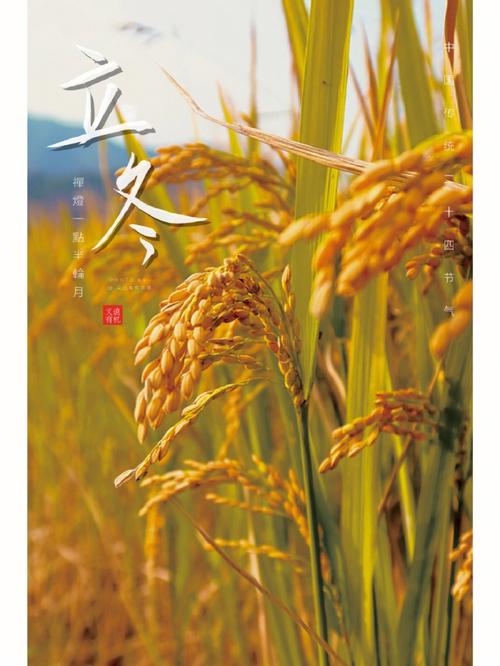 立冬前吉相日：兔虎马属相好运指南