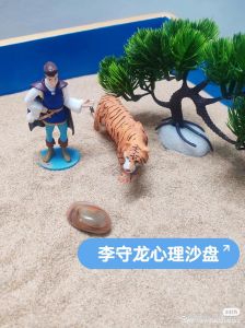 李守龙3D心理沙盘：发明专利，国内顶尖，性价比卓越测评工具