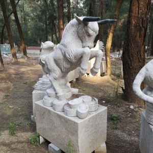 11月运势大爆发：虎兔马猴四大生肖喜提成功！