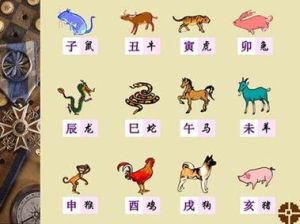 11月3日四大生肖转运：财运事业双丰收！