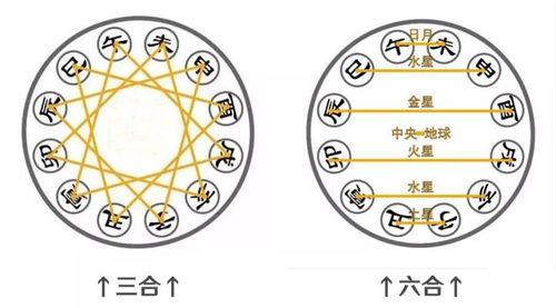 属鼠最佳婚配：生肖相生相克揭秘