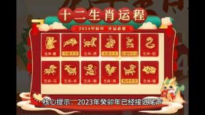 2024甲辰龙年生肖运势解析及应对策略