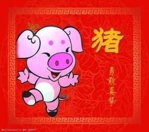 生肖魅力：龙马精神猪情长，忠诚爱情焦点男