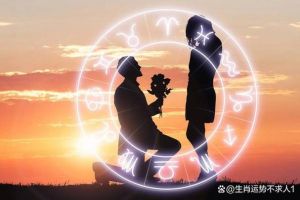 生肖爱情转变揭秘：从追求到长久的爱情智慧
