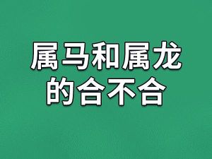 11月生肖运势：鼠龙蛇马焕新辉煌，把握机遇！