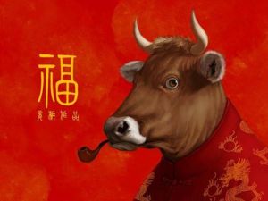 属牛人爱情特点：稳重与固执的矛盾之美