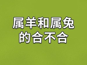 11月运势大旺：属羊狗猪兔迎来好时机！