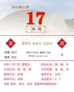 11月17日生肖运势大爆发：财富机遇来敲门！