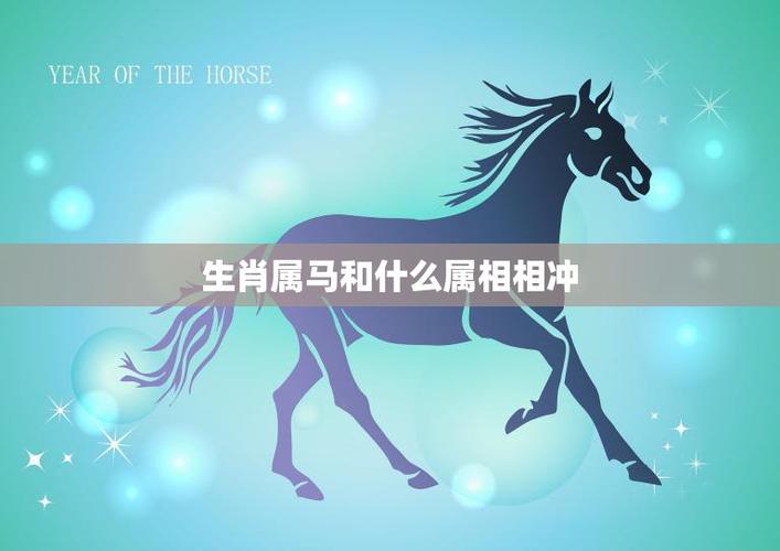 属马性格差异与生肖相合相冲