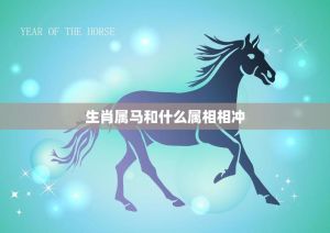 属马性格差异与生肖相合相冲