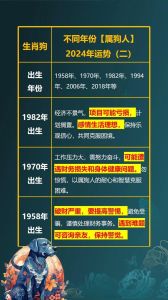 2024年11月属狗人运势：挑战与机遇并存