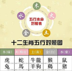11月生肖好运：鼠龙蛇羊事业飞跃，贵人助力！