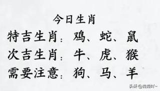 2024年生肖事业财运爆发：鼠蛇马猴丰收年