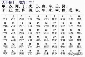 甲辰年甲戌月甲戌日生肖运势解析及建议