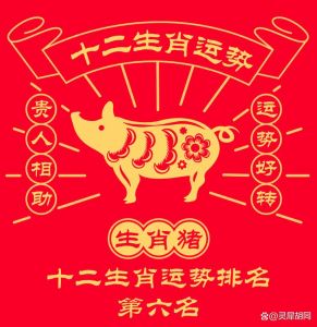2024属猪运势：财运旺，感情稳，事业晋升指南