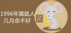 生肖运势逆袭：鼠兔蛇鸡迎好运，把握机会创辉煌