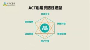 ACT疗法：心理从业者提升效果必备技能课
