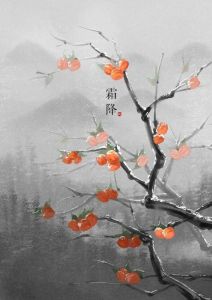 2024年霜降日运势：属木龙吉凶提示