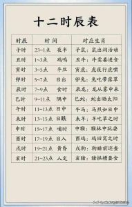 时辰揭秘：哪些出生时辰易成功财运旺？