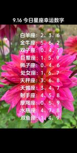 今日星座运势：白羊谦虚，金牛控情绪，双鱼活力足，感情需包容