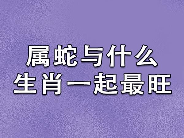 属牛狗蛇抓住好运，生肖逆袭指南