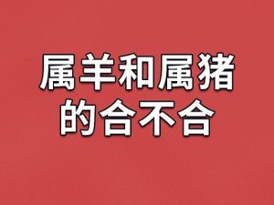 属羊金牛遇贵人：猪马兔虎助力事业生活