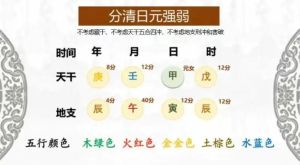 癸卯先生解析11月运势：八字五行身强身弱差异及幸福生活指南