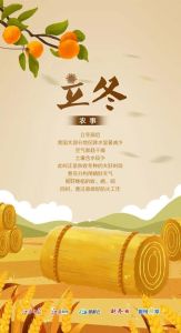立冬吉日：生肖运势解析及合作建议