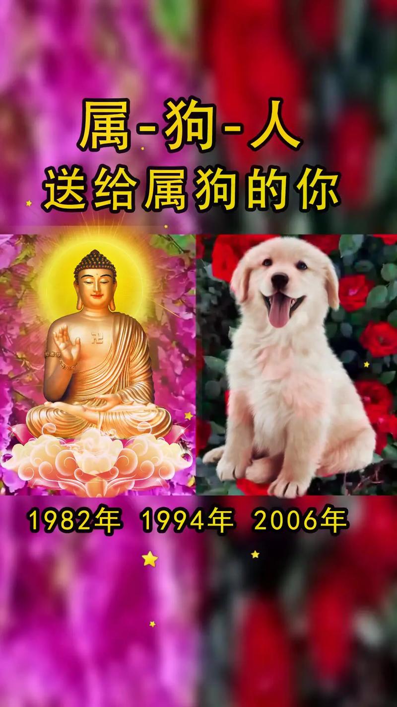 爱情坚守与妥协：生肖龙牛狗的真爱等待