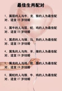 生肖揭秘：龙猪猴如何以尊重隐私稳固爱情