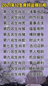 近期运势大揭秘：龙猴猪丰收期，幸福成功靠奋斗！