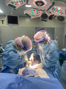 生肖转运揭秘：龙蛇马35岁后富贵人生路径