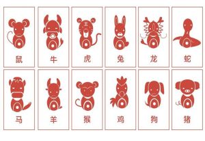 11月生肖运势大旺：鼠兔马鸡财运亨通，事业爱情双丰收
