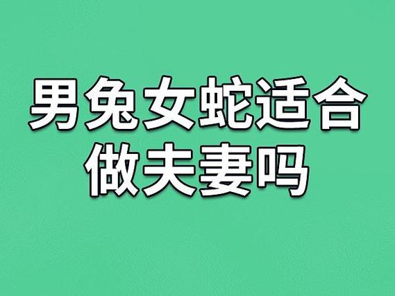生肖女性魅力：兔羊鸡蛇婚姻典范