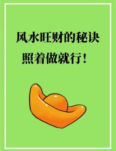 旺财风水开店攻略：选址色彩与风水物秘籍