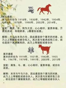 十二生肖爱情攻略：化解问题，甜蜜同行