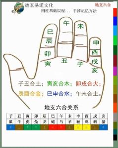 地支六合命理揭秘：爱情卦象解读与易学关联