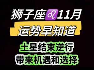11月运势揭秘：金牛狮子射手抓住机遇，感恩前行