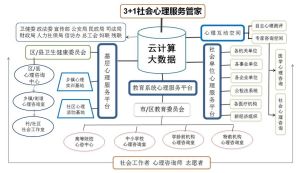 社会心理服务体系：构建策略与优化路径