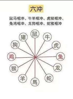 生肖运势：兔蛇猪一周关键期，机遇与挑战并存！