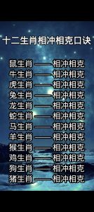 生肖相处指南：相合相冲解析及幸福人生秘诀