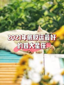 四星座岁末迎桃花财运，爱情事业双丰收！