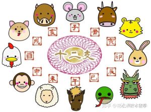 生肖智慧：鼠年财源牛年稳健虎年突破，新岁运势指南