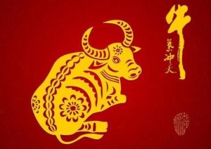 2024年11月属牛运势：平稳提升，理财健康两不误