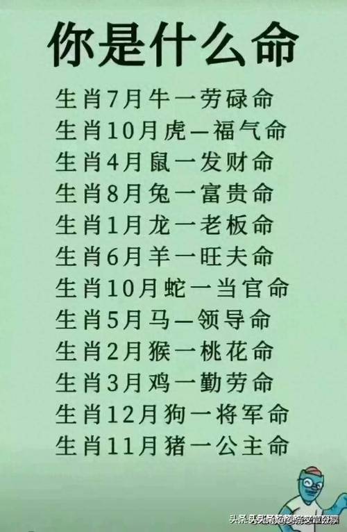 十二生肖命运解析：属相与个人努力的关系