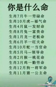 十二生肖命运解析：属相与个人努力的关系