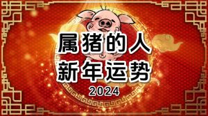2024年属猪人11月运势：挑战与幸运日指南