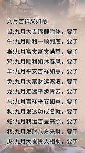 年底生肖运势红火：鼠虎龙猪好运连连