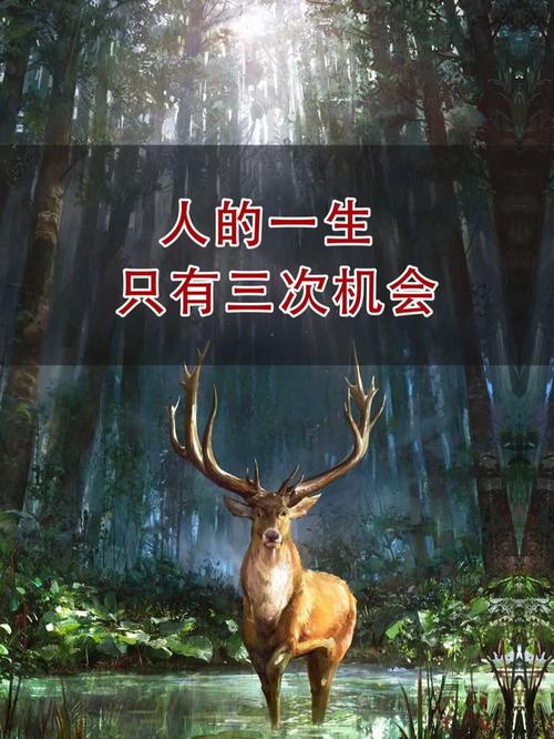 鼠牛虎兔年末运势旺，把握机遇赢人生胜利！