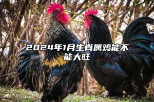 2024年运势大旺：属鸡龙虎三生肖财富机遇多